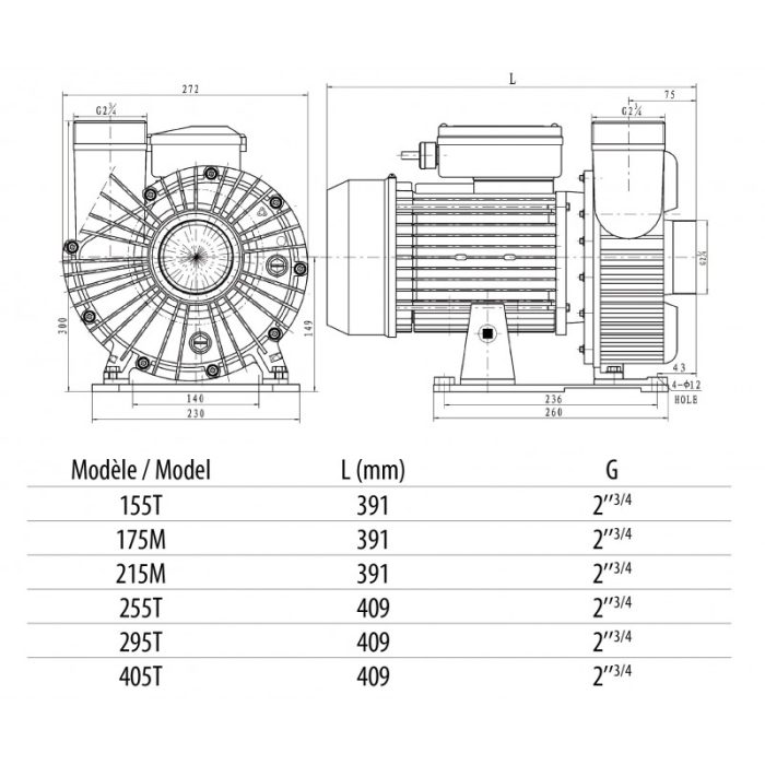 Pompe Centrifuge NCC VIPool – Image 2