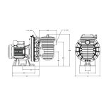 Pompe filtration Sta-Rite (Starite) Serie 5P2R Standard – Image 3