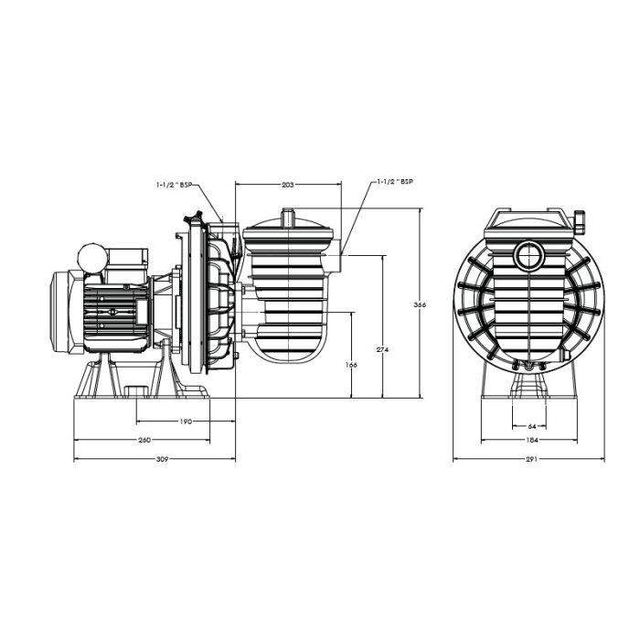 Pompe filtration Sta-Rite (Starite) Serie 5P2R Standard – Image 3